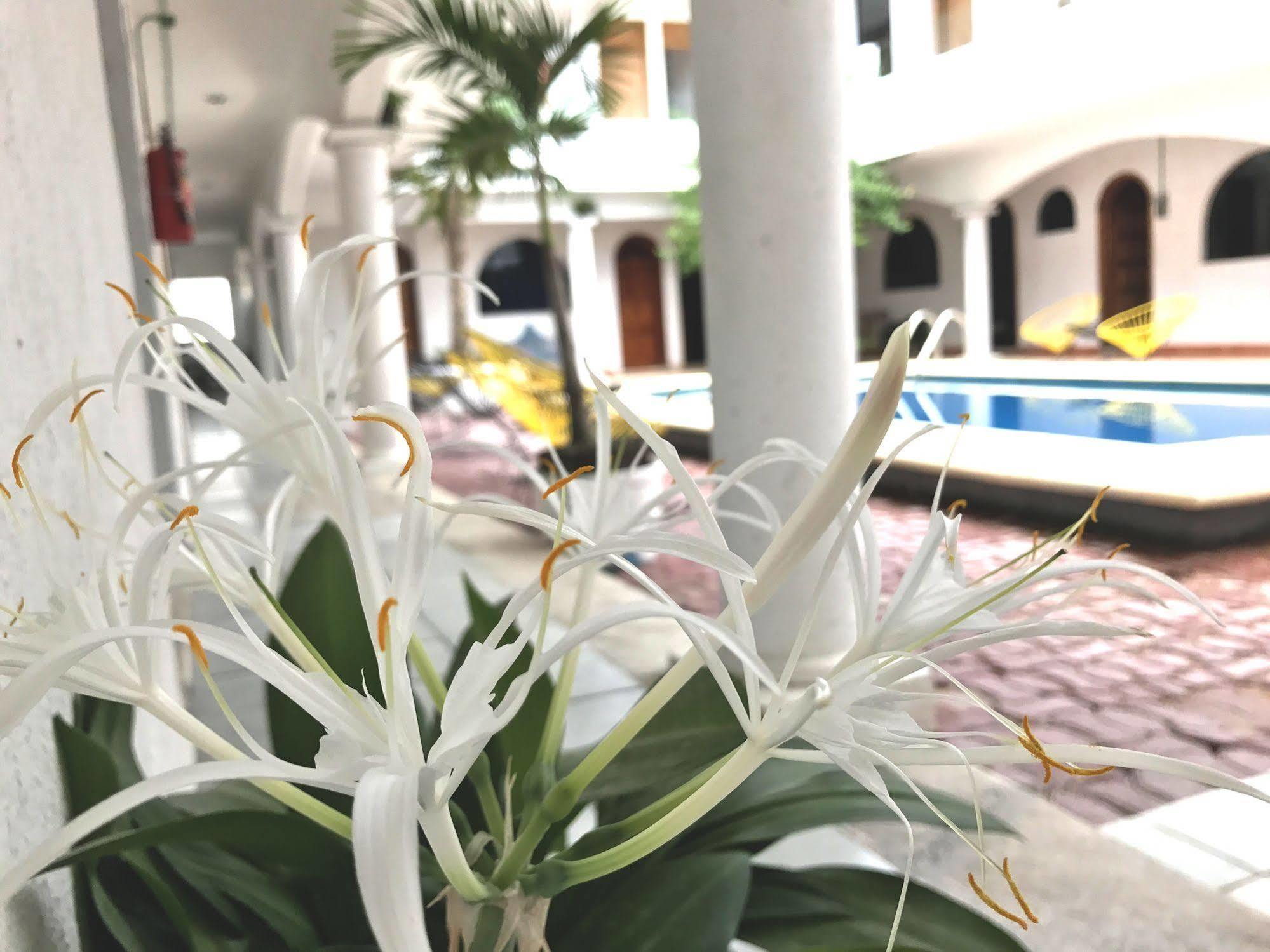 Hotel Villas San Ignacio Плая дел Кармен Екстериор снимка